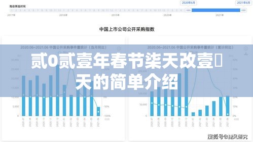 贰0贰壹年春节柒天改壹無天的简单介绍