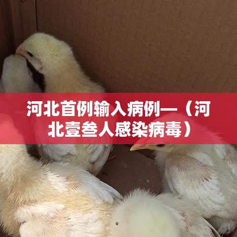 河北首例输入病例—（河北壹叁人感染病毒）