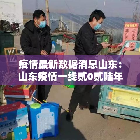 疫情最新数据消息山东：山东疫情一线贰0贰陆年还能用吗