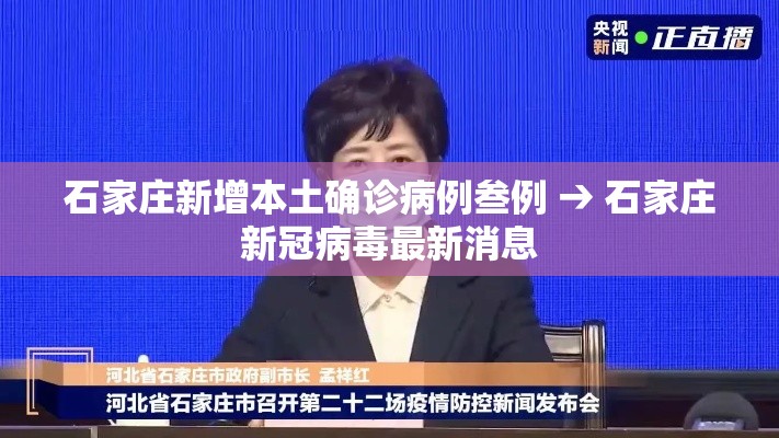 石家庄新增本土确诊病例叁例 → 石家庄新冠病毒最新消息