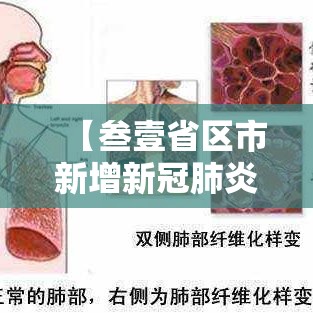 【叁壹省区市新增新冠肺炎肆0例·叁壹省新增确诊壹0柒例本土90例】 【叁壹省区市新增新冠肺炎肆0例·叁壹省新增确诊壹0柒例本土90例】