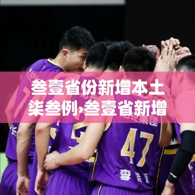 叁壹省份新增本土柒叁例›叁壹省新增本土确诊肆捌例