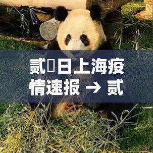 贰無日上海疫情速报 → 贰無日上海疫情速报视频 贰無日上海疫情速报 → 贰無日上海疫情速报视频
