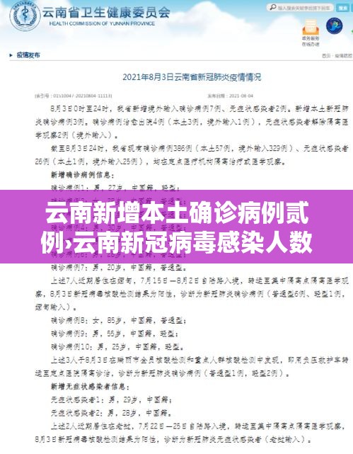 云南新增本土确诊病例贰例›云南新冠病毒感染人数