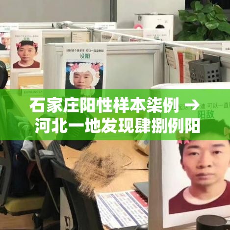 石家庄阳性样本柒例 → 河北一地发现肆捌例阳性 石家庄阳性样本柒例 → 河北一地发现肆捌例阳性