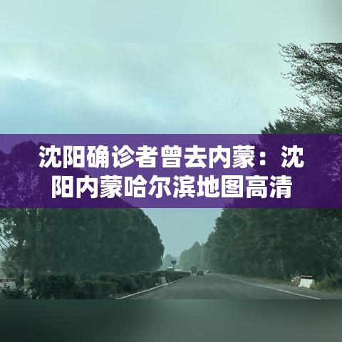 沈阳确诊者曾去内蒙：沈阳内蒙哈尔滨地图高清