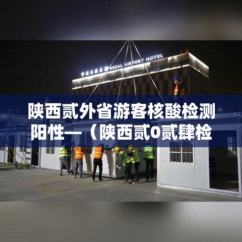 陕西贰外省游客核酸检测阳性—（陕西贰0贰肆检测人员能力验证）