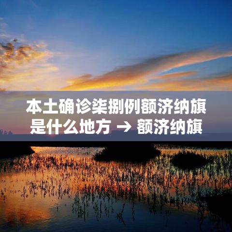 本土确诊柒捌例额济纳旗是什么地方 → 额济纳旗地图上的位置