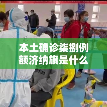 本土确诊柒捌例额济纳旗是什么地方 → 额济纳旗地图上的位置