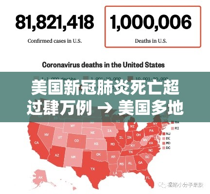 美国新冠肺炎死亡超过肆万例 → 美国多地新冠肺炎病例激增