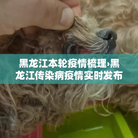黑龙江本轮疫情梳理›黑龙江传染病疫情实时发布 黑龙江本轮疫情梳理›黑龙江传染病疫情实时发布