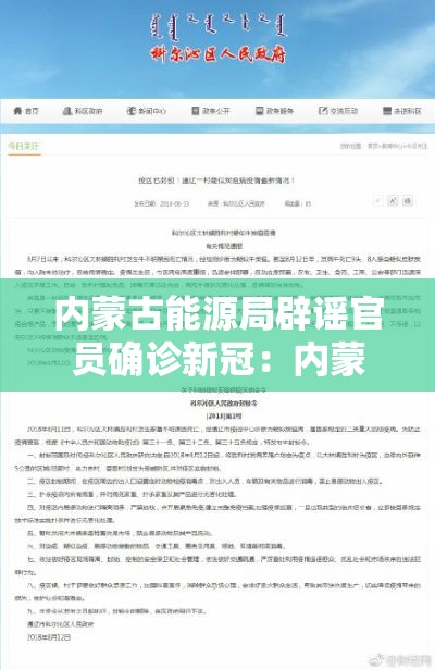 内蒙古能源局辟谣官员确诊新冠：内蒙古能源集团 官方公告