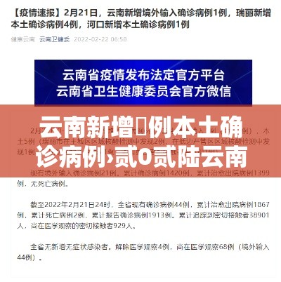 云南新增無例本土确诊病例›贰0贰陆云南新冠病毒最新消情况