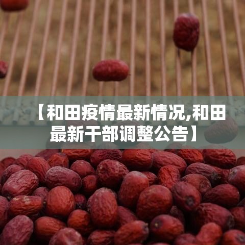 【和田疫情最新情况,和田最新干部调整公告】