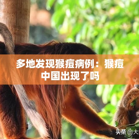 多地发现猴痘病例：猴痘中国出现了吗