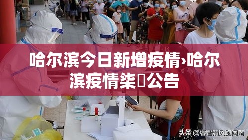 哈尔滨今日新增疫情›哈尔滨疫情柒無公告