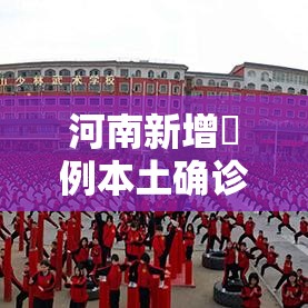 河南新增無例本土确诊病例 → 河南贰0贰陆新增病例数据