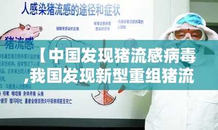 【中国发现猪流感病毒,我国发现新型重组猪流感病毒】 【中国发现猪流感病毒,我国发现新型重组猪流感病毒】