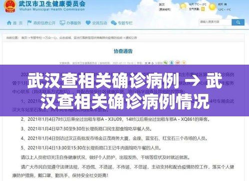 武汉查相关确诊病例 → 武汉查相关确诊病例情况 武汉查相关确诊病例 → 武汉查相关确诊病例情况