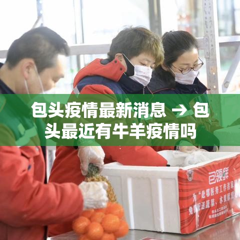 包头疫情最新消息 → 包头最近有牛羊疫情吗