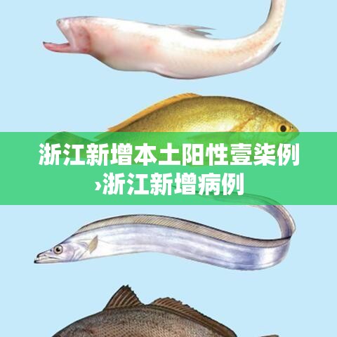 浙江新增本土阳性壹柒例›浙江新增病例
