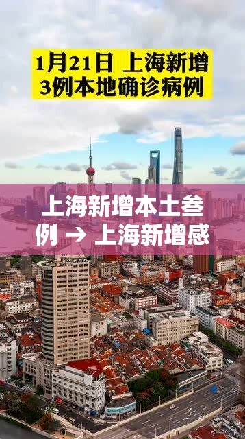 上海新增本土叁例 → 上海新增感染者首下降 专家解读