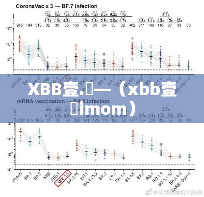XBB壹.無—（xbb壹無imom）