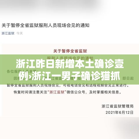 浙江昨日新增本土确诊壹例›浙江一男子确诊猫抓病 浙江昨日新增本土确诊壹例›浙江一男子确诊猫抓病