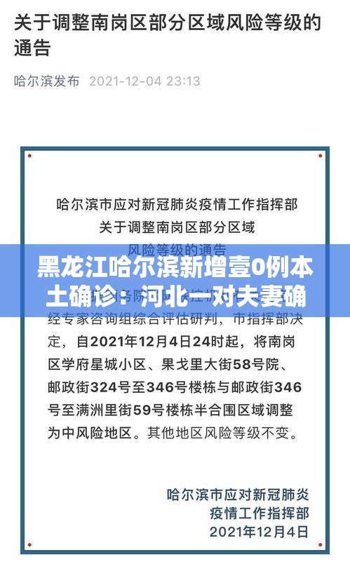 黑龙江哈尔滨新增壹0例本土确诊：河北一对夫妻确诊新冠肺炎