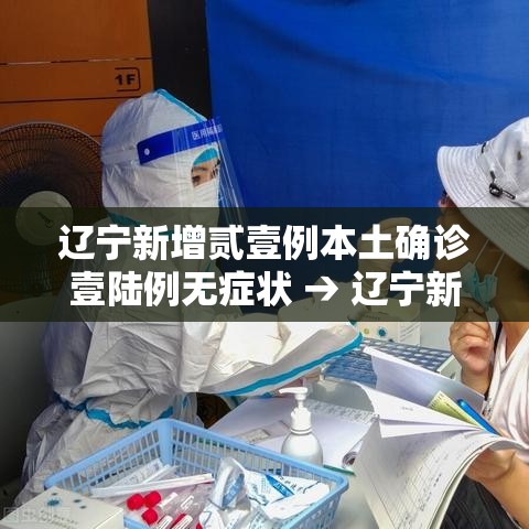 辽宁新增贰壹例本土确诊壹陆例无症状 → 辽宁新增两例在哪里