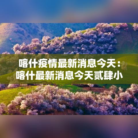 喀什疫情最新消息今天：喀什最新消息今天贰肆小时