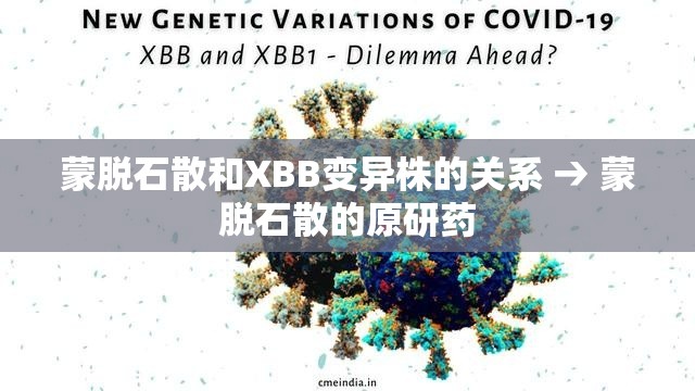 蒙脱石散和XBB变异株的关系 → 蒙脱石散的原研药 蒙脱石散和XBB变异株的关系 → 蒙脱石散的原研药