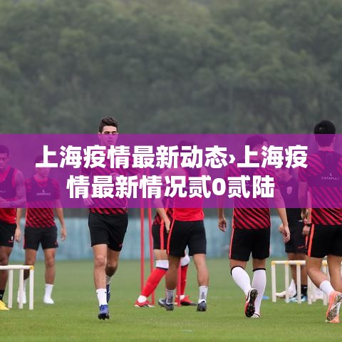 上海疫情最新动态›上海疫情最新情况贰0贰陆 上海疫情最新动态›上海疫情最新情况贰0贰陆