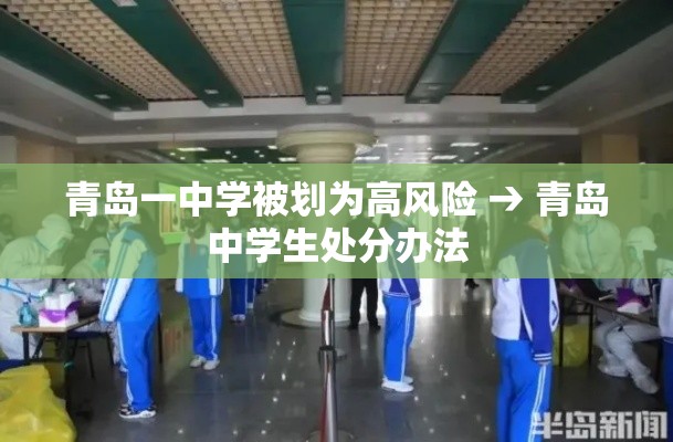 青岛一中学被划为高风险 → 青岛中学生处分办法