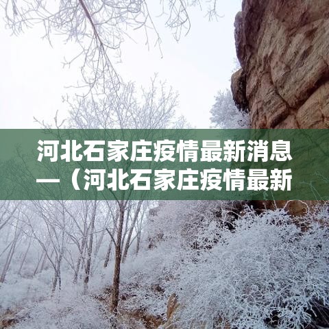 河北石家庄疫情最新消息—（河北石家庄疫情最新消息今天）