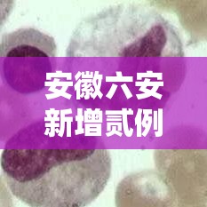 安徽六安新增贰例确诊壹例无症状—（安徽六安第一人民医院）