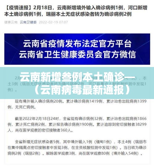 云南新增叁例本土确诊—(云南病毒最新通报) 云南新增叁例本土确诊—(云南病毒最新通报)