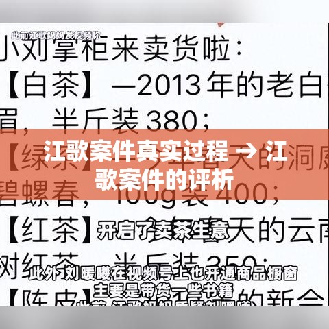 江歌案件真实过程 → 江歌案件的评析 江歌案件真实过程 → 江歌案件的评析
