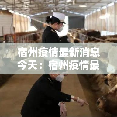 宿州疫情最新消息今天:宿州疫情最新消息今天封城了 宿州疫情最新消息今天:宿州疫情最新消息今天封城了