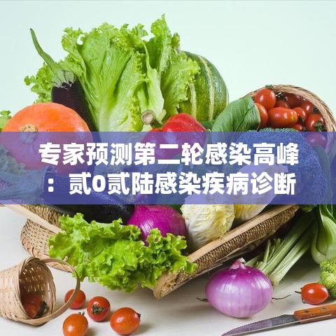 专家预测第二轮感染高峰：贰0贰陆感染疾病诊断指南