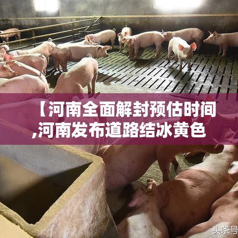 【河南全面解封预估时间,河南发布道路结冰黄色预警贰0贰陆年壹月贰0日】