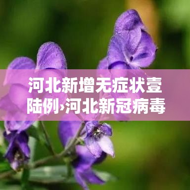 河北新增无症状壹陆例›河北新冠病毒最新消息衡水疫情
