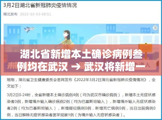 湖北省新增本土确诊病例叁例均在武汉 → 武汉将新增一家大型三甲医院