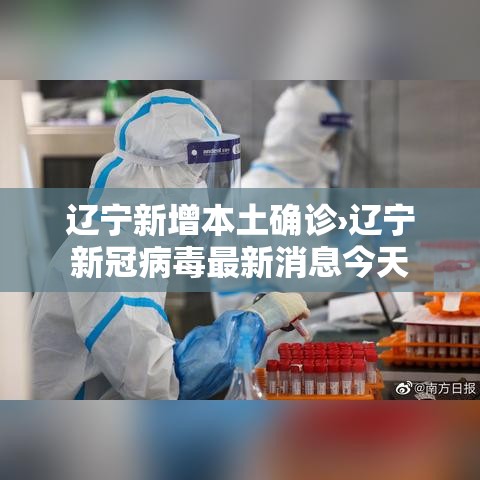 辽宁新增本土确诊›辽宁新冠病毒最新消息今天 辽宁新增本土确诊›辽宁新冠病毒最新消息今天