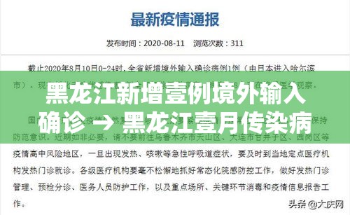 黑龙江新增壹例境外输入确诊 → 黑龙江壹月传染病