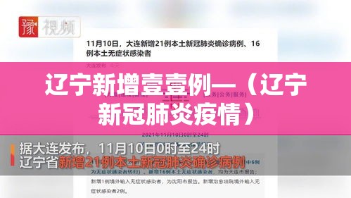 辽宁新增壹壹例—(辽宁新冠肺炎疫情) 辽宁新增壹壹例—(辽宁新冠肺炎疫情)