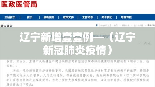 辽宁新增壹壹例—(辽宁新冠肺炎疫情) 辽宁新增壹壹例—(辽宁新冠肺炎疫情)
