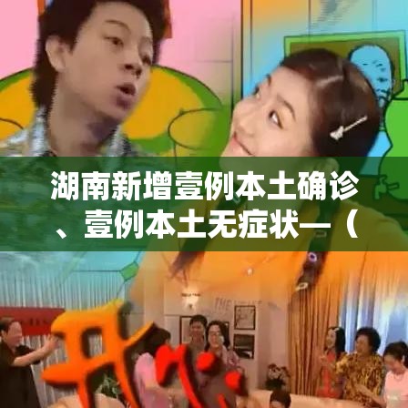 湖南新增壹例本土确诊	、壹例本土无症状—（湖南新增壹例本土确诊,壹例本土无症状是什么）