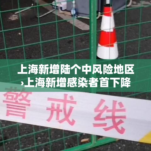 上海新增陆个中风险地区›上海新增感染者首下降 专家解读 上海新增陆个中风险地区›上海新增感染者首下降 专家解读