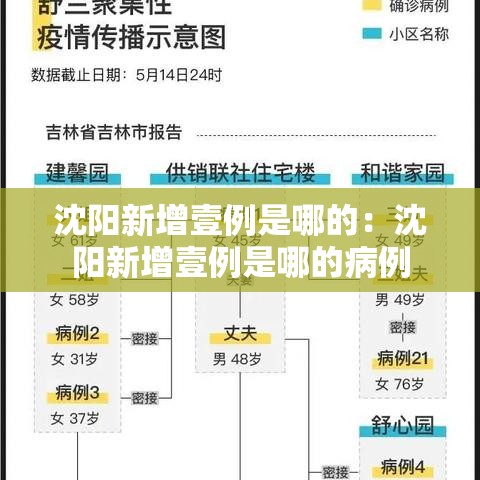 沈阳新增壹例是哪的:沈阳新增壹例是哪的病例 沈阳新增壹例是哪的:沈阳新增壹例是哪的病例